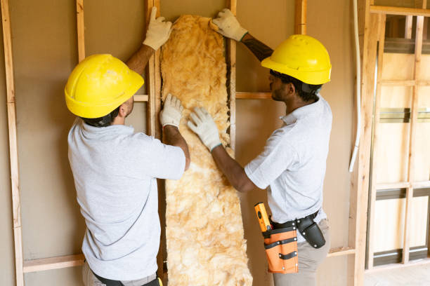 Best Garage Insulation Installation  in Holdenville, OK